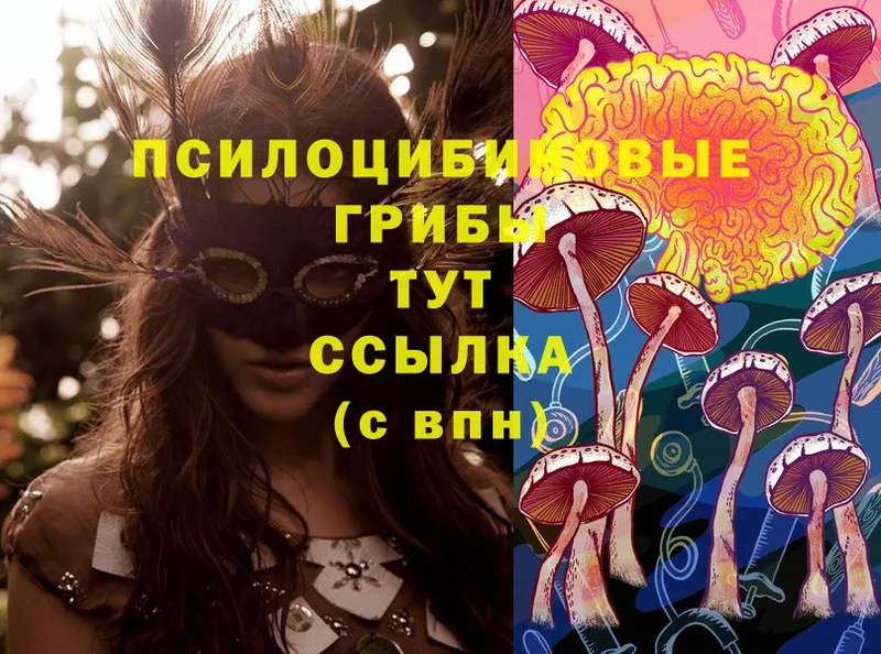 гидра tor  Вятские Поляны  Галлюциногенные грибы Magic Shrooms 